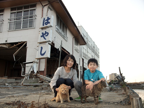 Tohoku